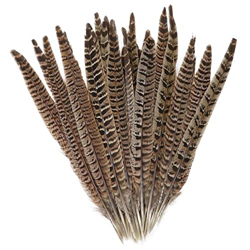 Lowats Plumas de Faisán 20 Piezas Faisán Plumas Plumas de Cola de Faisán Plumas Naturales Moteadas ​para Decorar Plumas de Decoración Pluma de Faisán 25–30 cm para Fiestas de cumpleaños