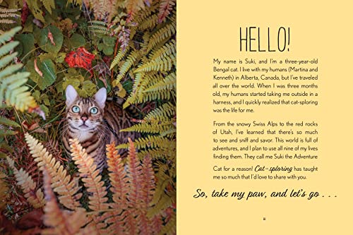 Travels of Suki the Adventure Cat