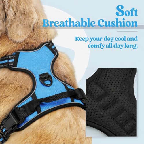 Image of Lyrovo Adjustable No-Pull Dog Harness with Leash Set for Small, Medium & Large Dogs - Reflective, Breathable, Comfortable Vest Harness for Training & Walking (Blue, S (4-13Kg))