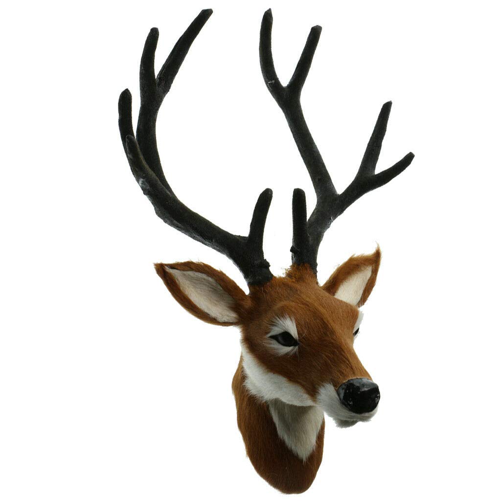 Buy KTM® Deer Head Taxidermy Modern Shop Window Home Ornament