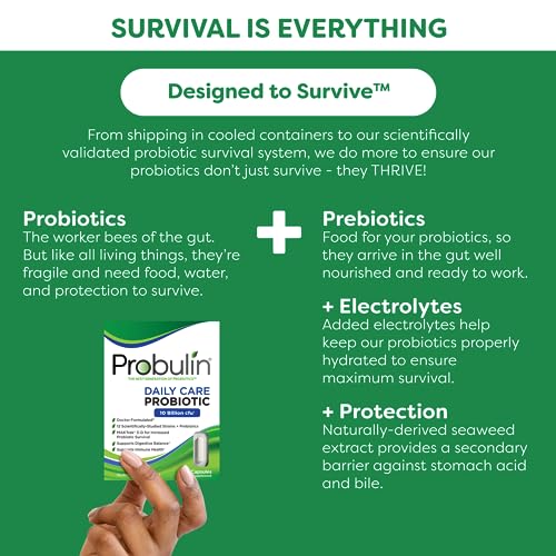 Probulin Daily Care Probiotic, 60 Capsules #TOP4