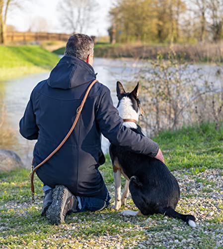 Hundeleine Leder 2,0m Premium Rund-Lederleine mit Edelstahl-Karabiner, Hunde Führleine mehrfach verstellbar - Francis (Braun)