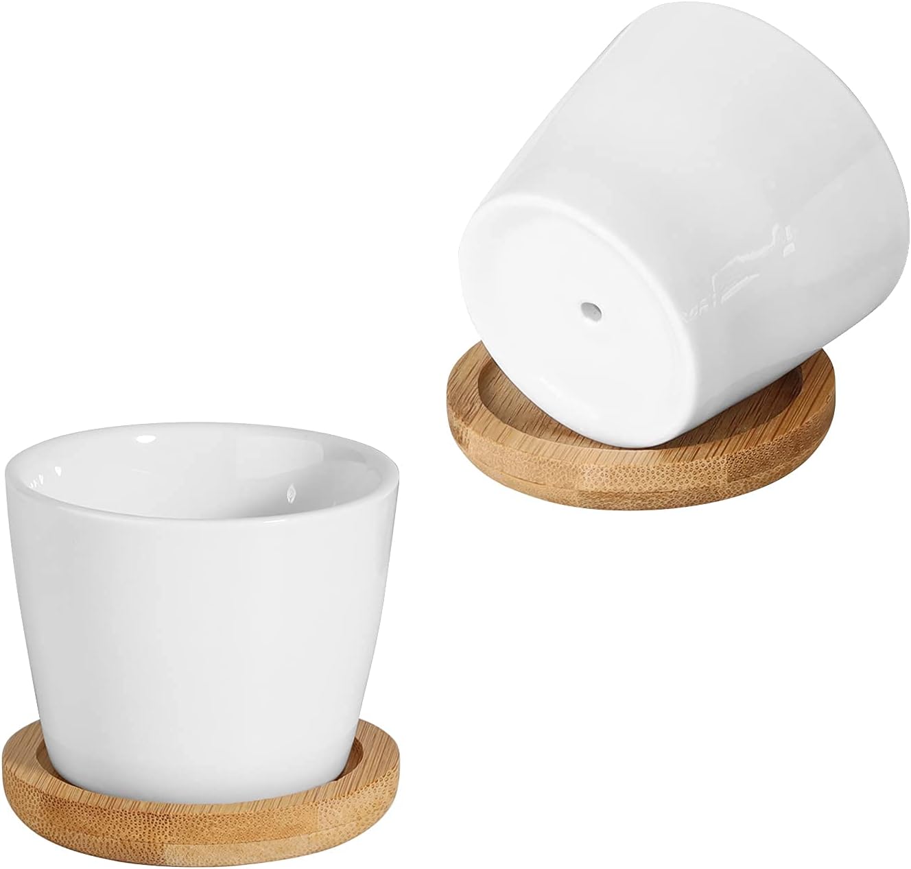 T4U Succulent Pots with Bamboo Tray and White Gravels 1 lb