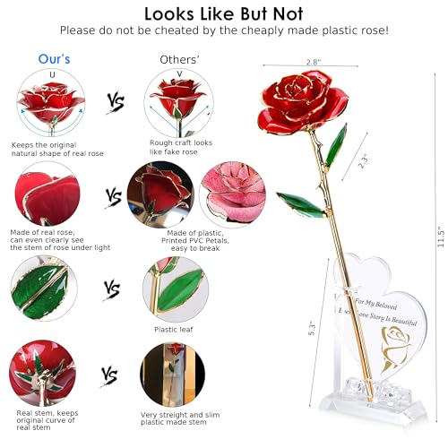 Image of Sinvitron Gold Dipped Infinity Rose Forever Flower Decor, Resin Preserved Real Rose Birthday Gift for Women, Anniversary Present for Mom (Red)