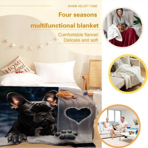 Couverture Polaire 240 x 260 Animal Chien, Couverture Polaire Grande Taille 240x260 cm | Usage Multiple comme Couette d'Appoint, Assure Une Protection Contre Le Froid D95