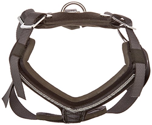 KLEINMETALL 15380100 Allsafe Gürtel der Sicherheit für Hunde, S