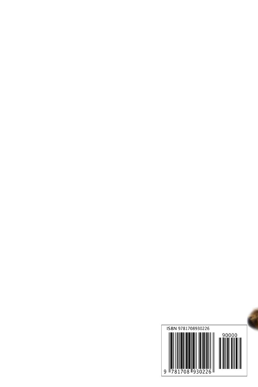 2020 Yorkshire Terrier Agenda: 107 Pagine | Dimensioni DIN A5 | Pianificatore Settimanale | 12 Mesi | Due Pagine Per Settimana | Calendario | Diario | Cane