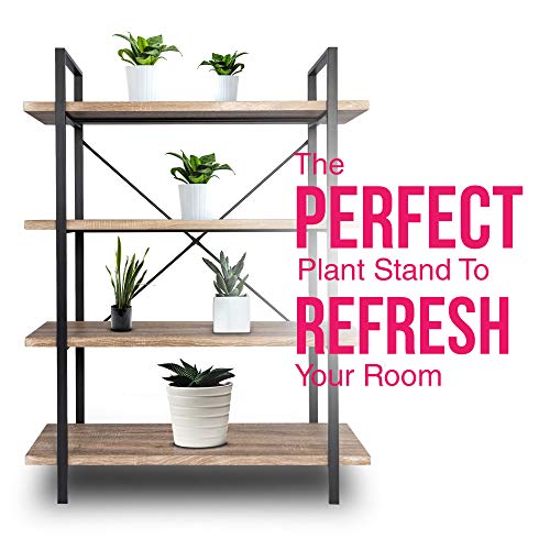 Berry Ave 4- Tier Bookshelf – Industrial Bookshelf Organizer for Living Room, Kitchen, Bedroom, Office & More – Display Shelves for Books, Plants, Pictures – Modern Free Standing Open Shelf Bookcase