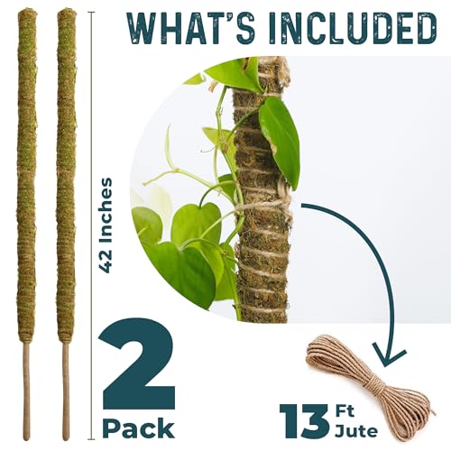 image for K-Brands 2 Pack 42'' Bendable Moss Pole Monstera Plant Support - Real 