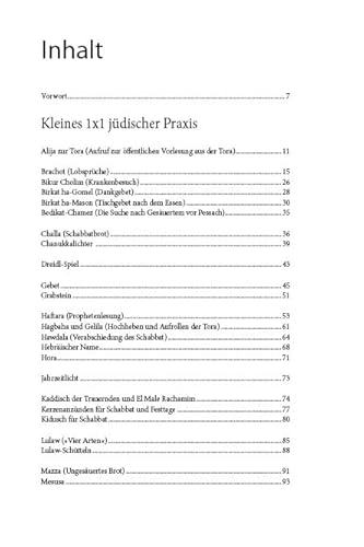 Kleines 1x1 juedischen Lebens: Eine illustrierte Anleitung juedischer Praxis und Basisinformationen