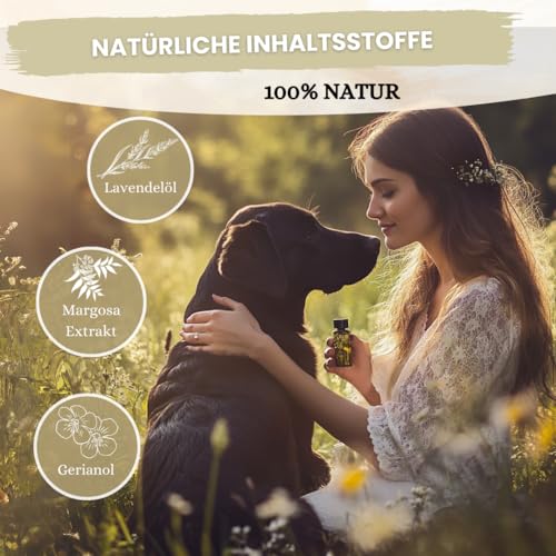 Spot On für große Hunde (ab 15 kg) - [6 Monate Floh- und Zeckenschutz] für Hunde 6x3ml – Zeckenmittel für Hunde mit natürlichen Inhaltsstoffen– Effektiver Zeckenschutz Hund