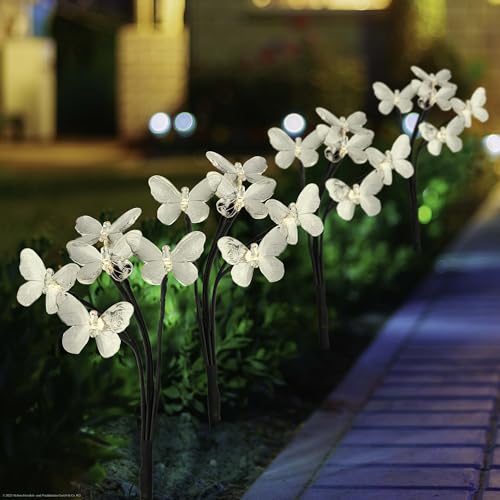 Solarleuchte Schmetterling Die 15 besten Produkte im Vergleich www