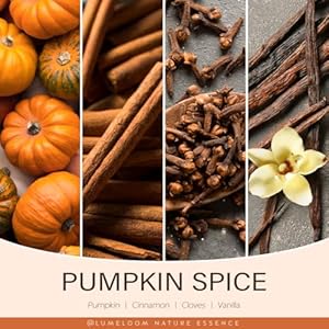 Pumpkin Candle, Hello Fall Gifts - 9oz Aromatherapy Cinnamon Pumpkin Spice Soy Wax Candle for Home Scented - Autumn Gifts for Women, Fall Decor Pumpkin Candle Hello Fall Gifts 9oz Aromatherapy Cinnamon Pumpkin Spice Soy Wax Candle for Home Scented Autumn Gifts for Women Fall Decor