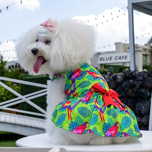 Image of CuteBone Dog Mesh Dress Puppy Sundress Pet Outfit Summer Fashion for Small Dogs Girl Cat Clothes