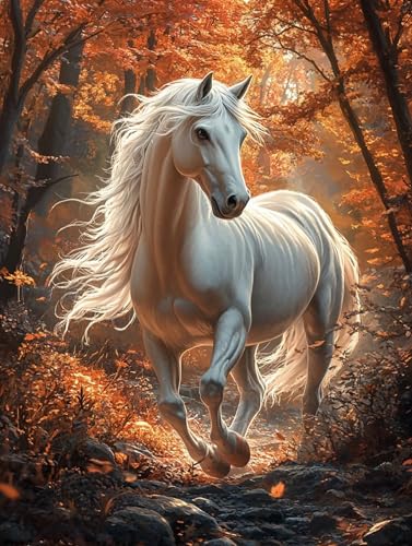 n G LbghG h DIYG fW^G H p^[fUC, yCgoCio[ SҌ ȒP paint by numbers uVƃANG̋, z[ ItBX 70X90cm, Model 934