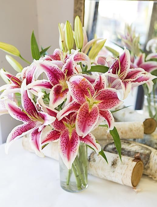 Miniatura 2 de KaBloom Prime Next Day Delivery - Colección Hollywood, ramo rosa de Barbie de 10 lirios Stargazer rosas con jarrón. Regalo para cumpleaños,