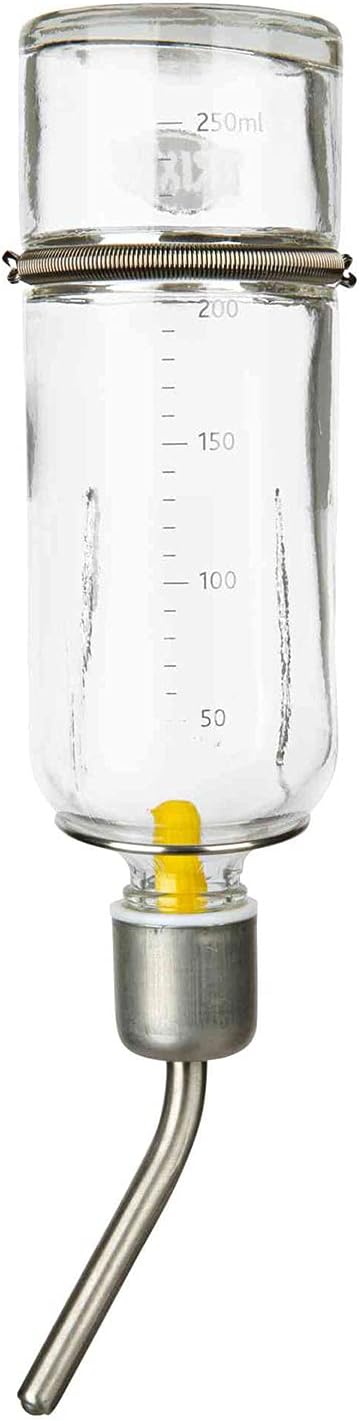 Water bottle, glass, Medium: 250 ml