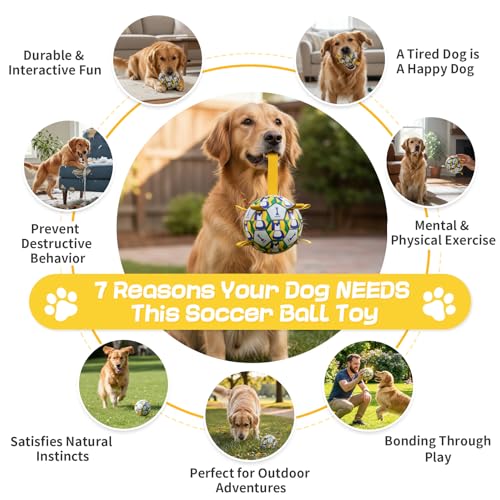 Image of Dog Soccer Ball with Straps, 6 Inch for Small and Medium Dogs, A | Footable Floating Dog Toy for Training, Fetch & Water Play, Interactive Dog Toys with Pump and Needle for Inflation