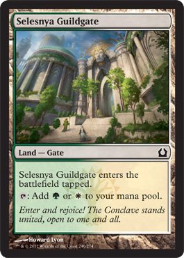 Magic: the Gathering - Selesnya Guildgate (246) - Return to Ravnica