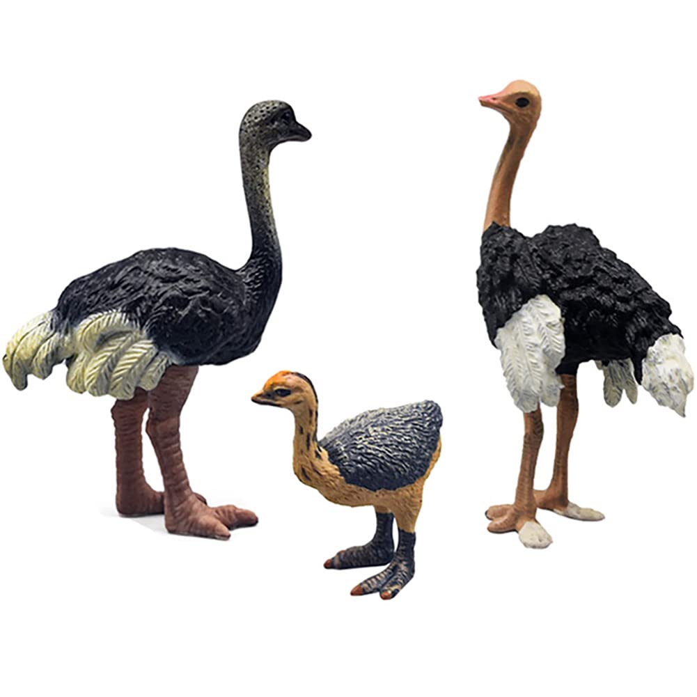 3 Pcs Realistic Ostrich Family Figurines Cake Topper, Plastic Wildlife Animal Toy Figures Collection Playset Birthday Gift Educational Learning Props