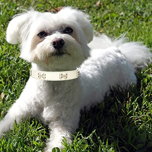 HALFSUMO Leather Dog Collar Dog Collar Combo Set Dog Collars Adjustable Puppy Collar for Small Medium Dogs Cats White XS - Image 2