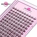 MOONKALI Natural Lash Clusters Wispy Fairy Eyelash Extensions 10-16MM CC Curly Manga Eyelash Clusters 120Pcs Individual Versatile DIY Lash Extension, Black