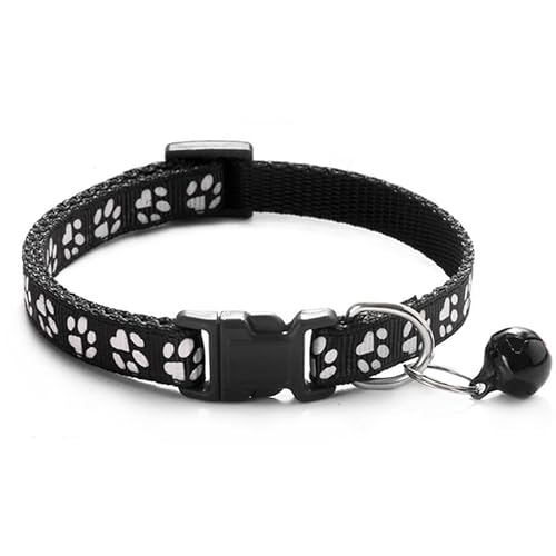 Seven Fox L   t  19F JCC qL 킢  (ubN)