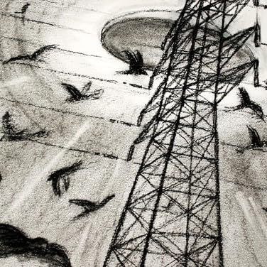 Episode 496 - Boiled Grass (Westall UFO)