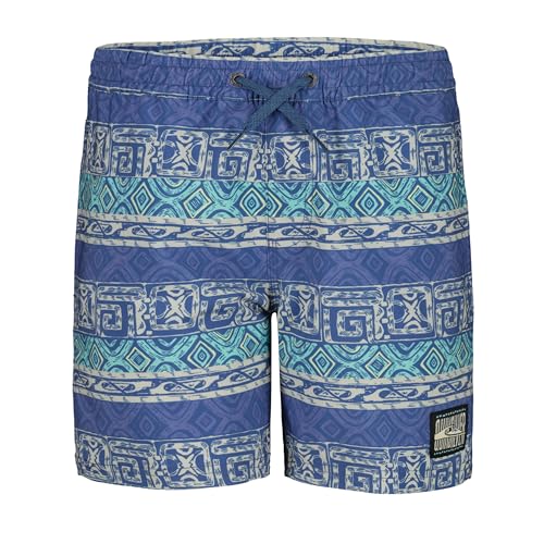 Quiksilver Traje de baño Volley para niño con protección solar UPF 50+, pantalones cortos de baño de secado rápido, Surfsilk Global Navy, 8