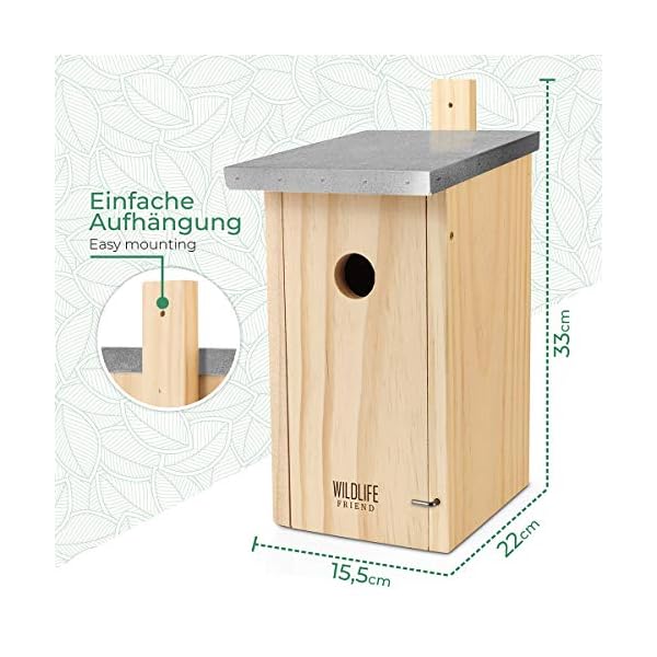 WILDLIFE FRIEND I Nistkasten mit Metalldach nach NABU aus Massivholz für Blaumeisen - Wetterfest, Unbehandelt… – Bild 7