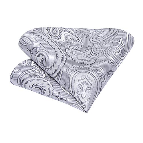 Image of DiBanGu Silk Ties for Men Necktie and Lapel Pin Brooch Set Formal Woven Paisley Plaid Striped Solid Tie Wedding Party