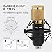 ZINGYOU Condenser Microphone Bundle, BM-800 Mic Kit with Adjustable Mic Suspension Scissor Arm, Metal Shock Mount and Double-Layer Pop Filter for Studio Recording & Broadcasting (Gold)