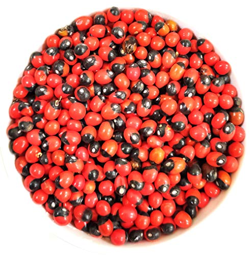 Image of Red Gunja Seeds - Chirmi -Gunja Beads - Abrus precatorius (100 Gms)