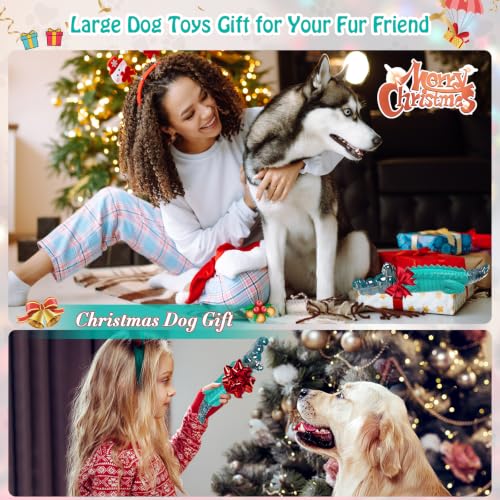 Image of Jeefome Dog Toys for Aggressive Chewers