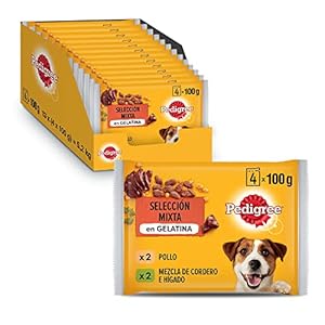 Pedigree Comida Húmeda para Perros en Gelatina Sabores Pollo y Cordero, Multipack (13 Packs x 4 bolsitas x 100g)