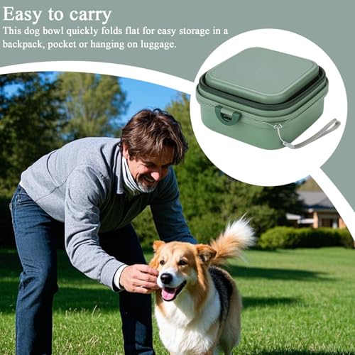 hbOt[h sp Rei - Wt ܂肽ݎ gїp M,p t[h {E | LƎq̋aEEpALvEsEUEr[`EԁEN[gELsOJ[EāEAEghAp