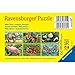 Produktbild Ravensburger Spiel 07434 - Wilde Tiere, 6 Teile