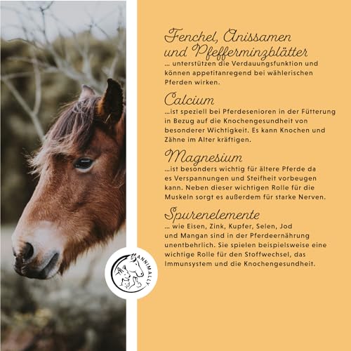 Annimally Senior Mineralfutter Pferde getreidefrei - Ergänzungs Pferdefutter für Senior Pferde mit Vitaminen, Mineralstoffen und Spurenelementen, wie Zink, Selen, Omega 3 & Jod (3 kg Eimer)