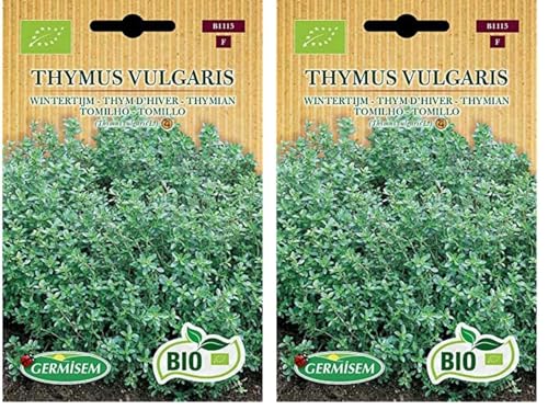 Germisem Biologico Thymus Vulgaris Semi di Timo 0.5 g (Confezione da 2)