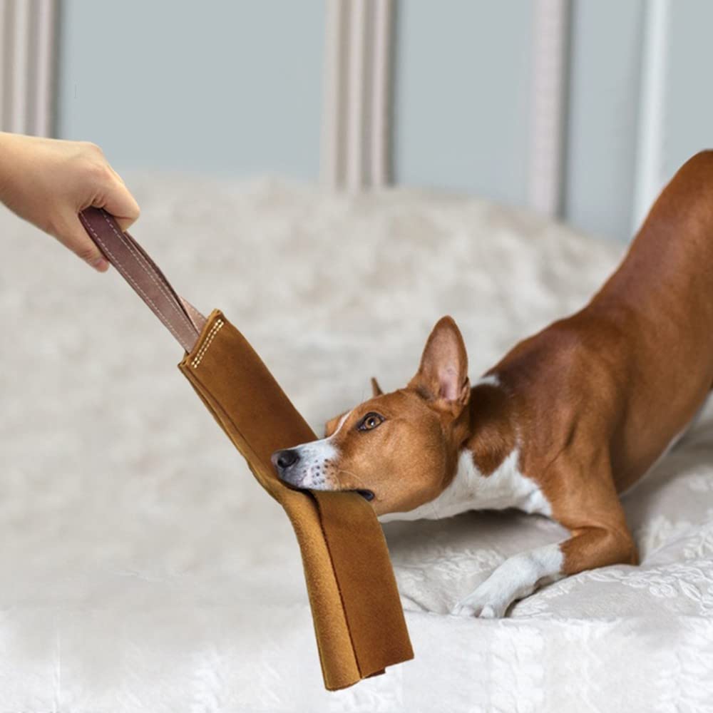 DONGKER Trapo de mordida de perro, trapo de piel suave de 15.7 pulgadas con asa para perros pequeños, medianos y grandes