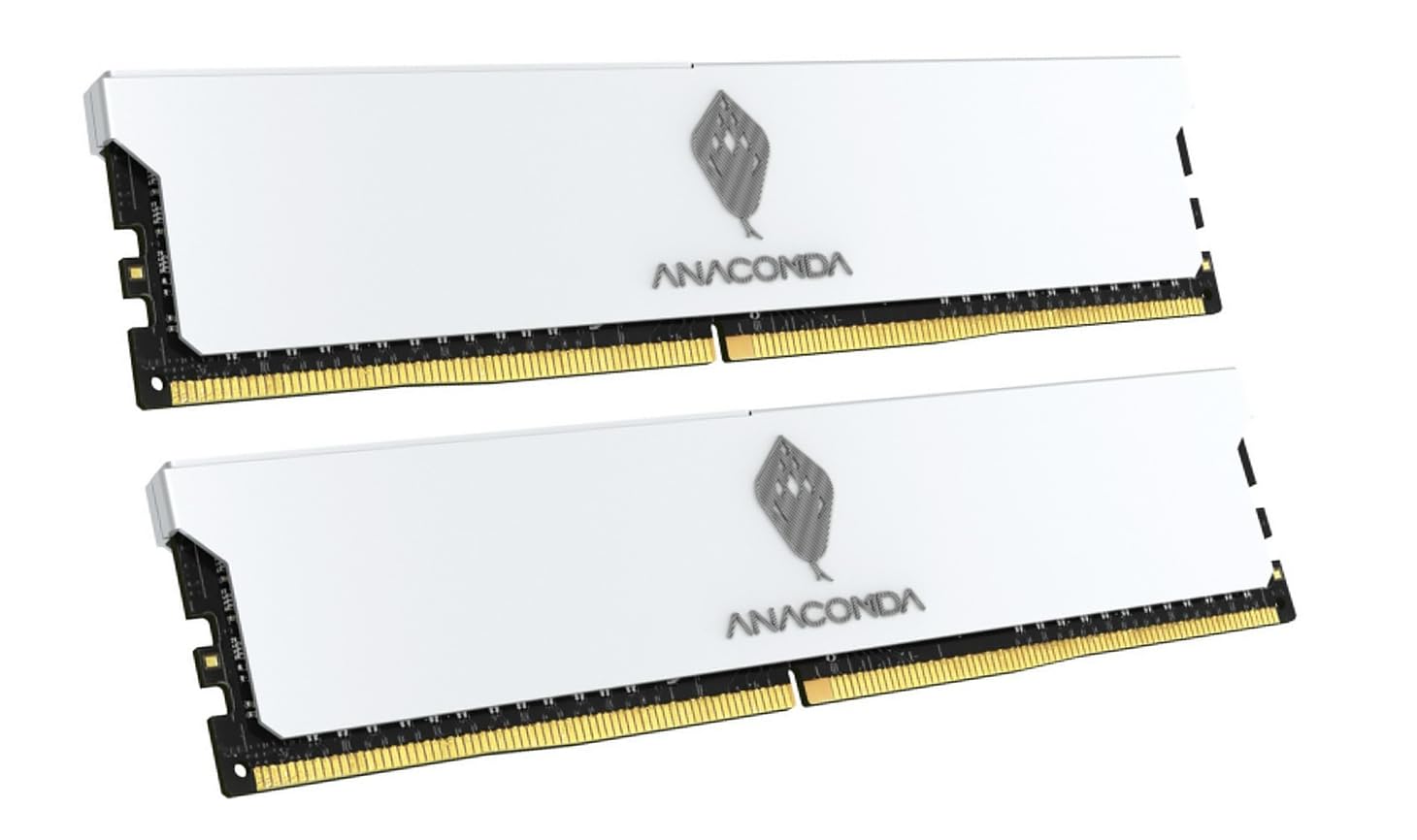 anacomda ddr5 gaming ram white 32gb (2x16gb) 6400mhz cl36 overclocking dram, intel xmp 3.0 ready, amd expo compatible, desktop memory with aluminum heatsink, kingsnake series, made in taiwan