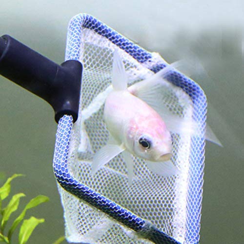 POPETPOP 6 peças de ferramentas de limpeza de aquário, escova de algas para aquário de cabo longo po