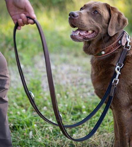 Jack & Russell Premium Hundeleine 2,0m Leder - Hunde Führleine verstellbar - Büffellleder, Neopren & Edelstahl Karabiner, Lederleine braun Tymothy (Braun)