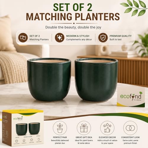 Image of ecofynd 5 Inch Ceramic Plant Pots with Drainage Hole, Modern Decorative Clay Flower Pots for Indoor Plants, Home Garden Decor for Living Room, Bedroom & Interior Spaces (Pack of 2, CPOT041-DGN)