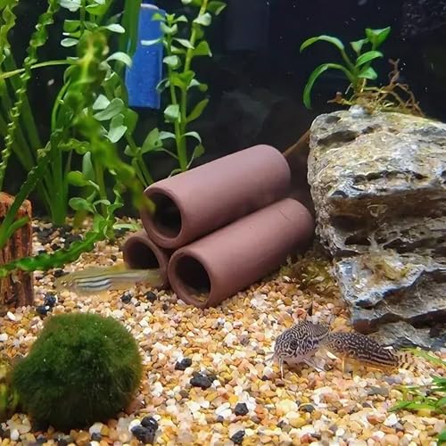 Zyiphor 3 Stück Keramik Aquarium Höhle, Garnelen Versteck, Welshöhle Aquarium Deko Höhle, Robustes Tonröhre, Fish Tank Zubehör für Züchter von Garnelen(Braun)