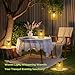 KOOPER Solar Lantern Outdoor Lights, 2 Pack Bright Hanging Solar Lanterns Outdoor Waterproof with Handle, Decoration Rattan Lanterns for Outside Hanging Garden Patio Yard Porch Trees Lawn Pathway Gift