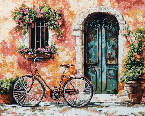 Hdfvlfdsa Kit De Punto De Cruz De Con Estampado De Bicicleta Antigua 30x40cm Para Adultos Principiantes, Kits De Punto De Cruz Para Bordado, No Nulo, Como Se Muestra En La Imagen, 11Ct