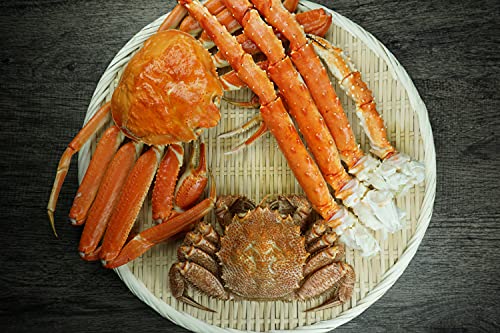 kX [3I] 3IZbg {YCKj (p) 640gO kCYъI360gO ^oVN800gO kCH {C Ⓚ ΃Jj ɖX CN 