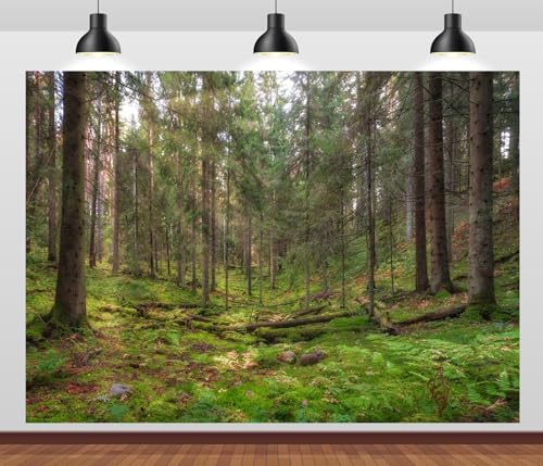 BELECO Fondo Fotográfico Tela 17x10FT Bosque Pino Antiguo miniatura 1