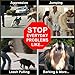 The Perfect Dog Training System The Perfect Dog | Don Sullivan’s Secrets to Training, Quick Start Kit, Large Breed Dogs